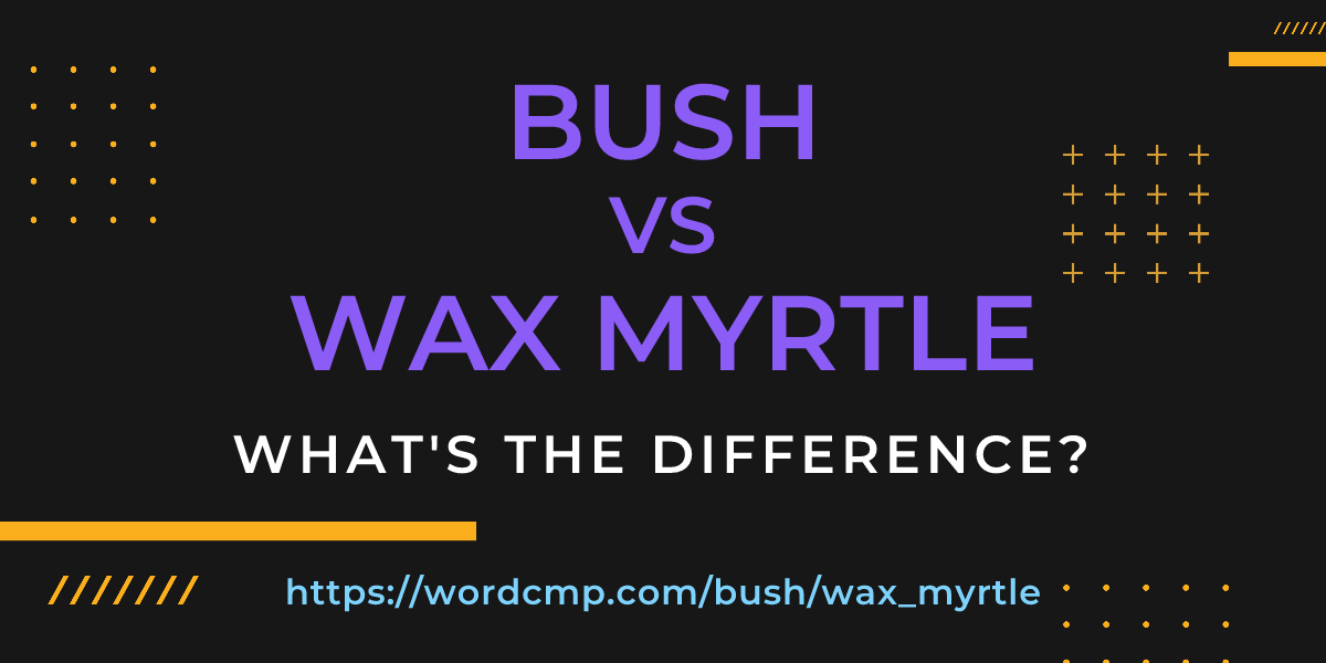 Difference between bush and wax myrtle