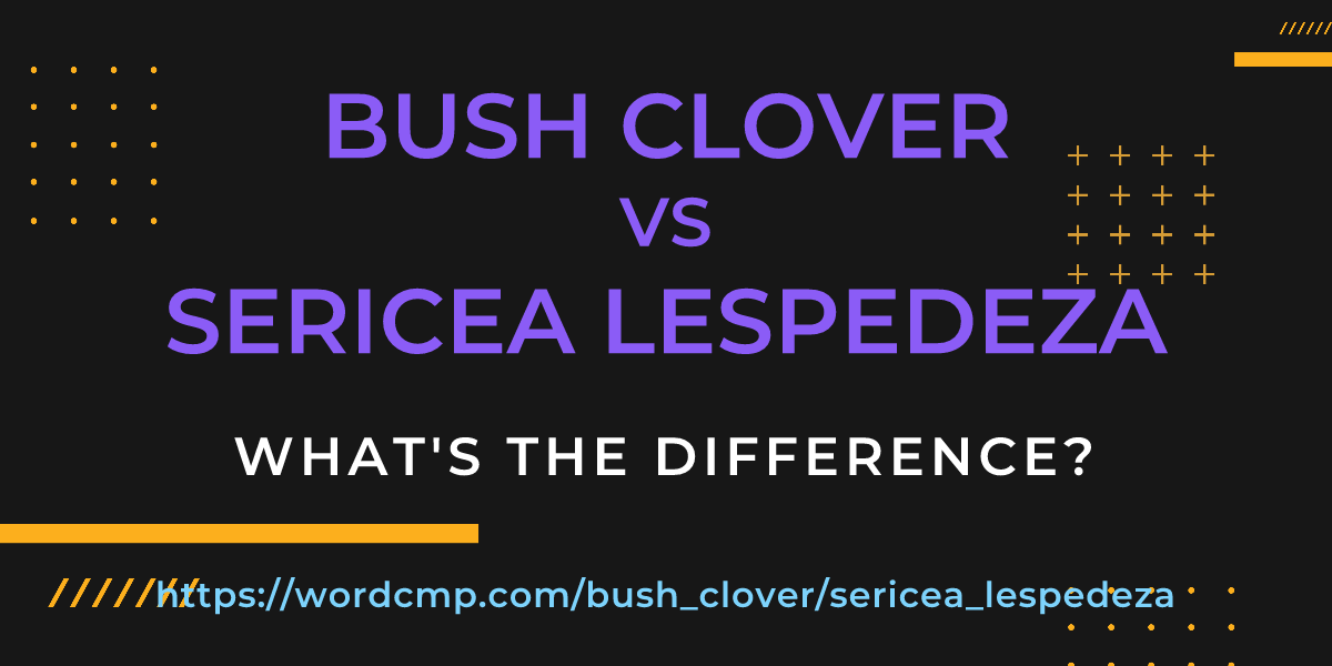 Difference between bush clover and sericea lespedeza