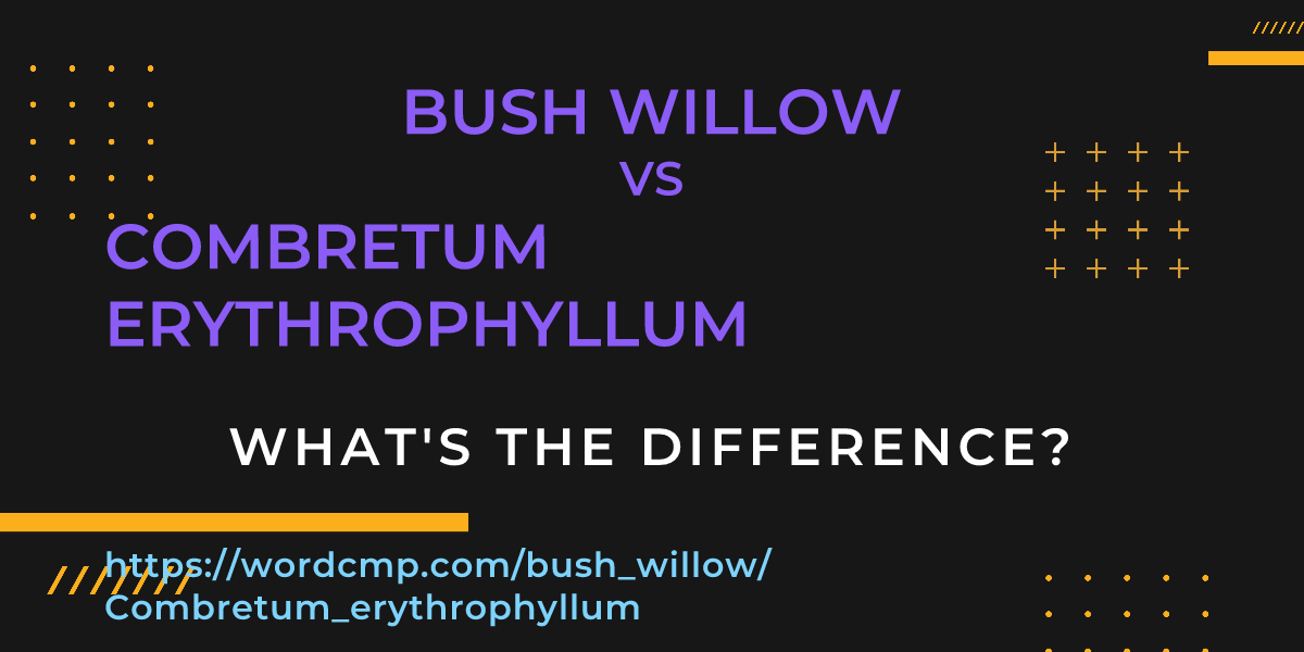 Difference between bush willow and Combretum erythrophyllum