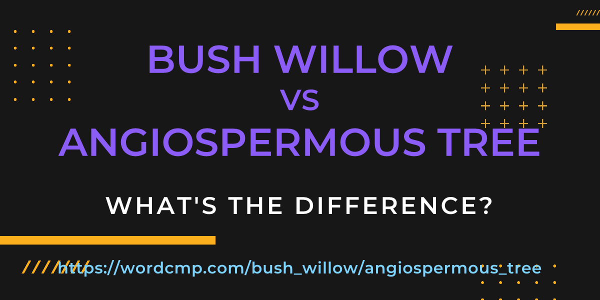 Difference between bush willow and angiospermous tree