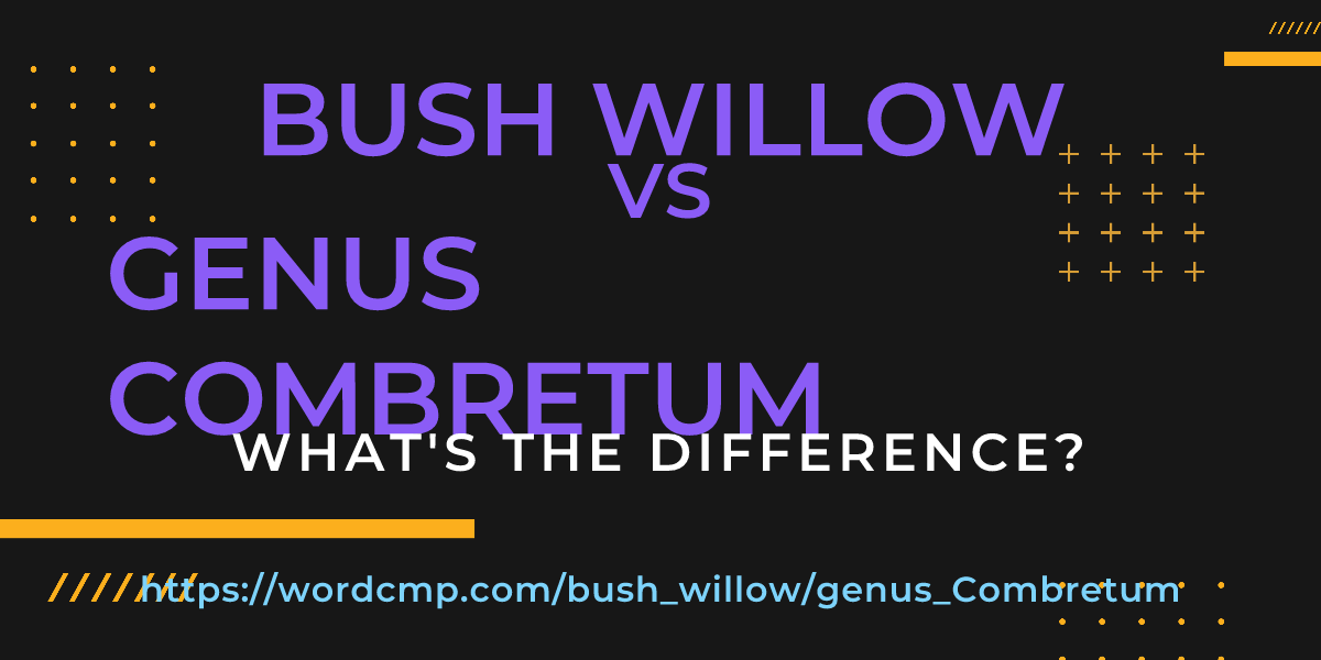 Difference between bush willow and genus Combretum