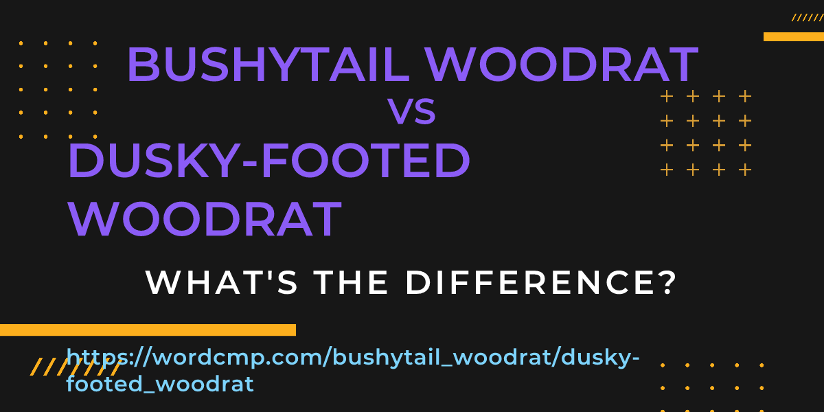 Difference between bushytail woodrat and dusky-footed woodrat