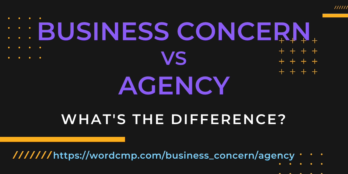 Difference between business concern and agency