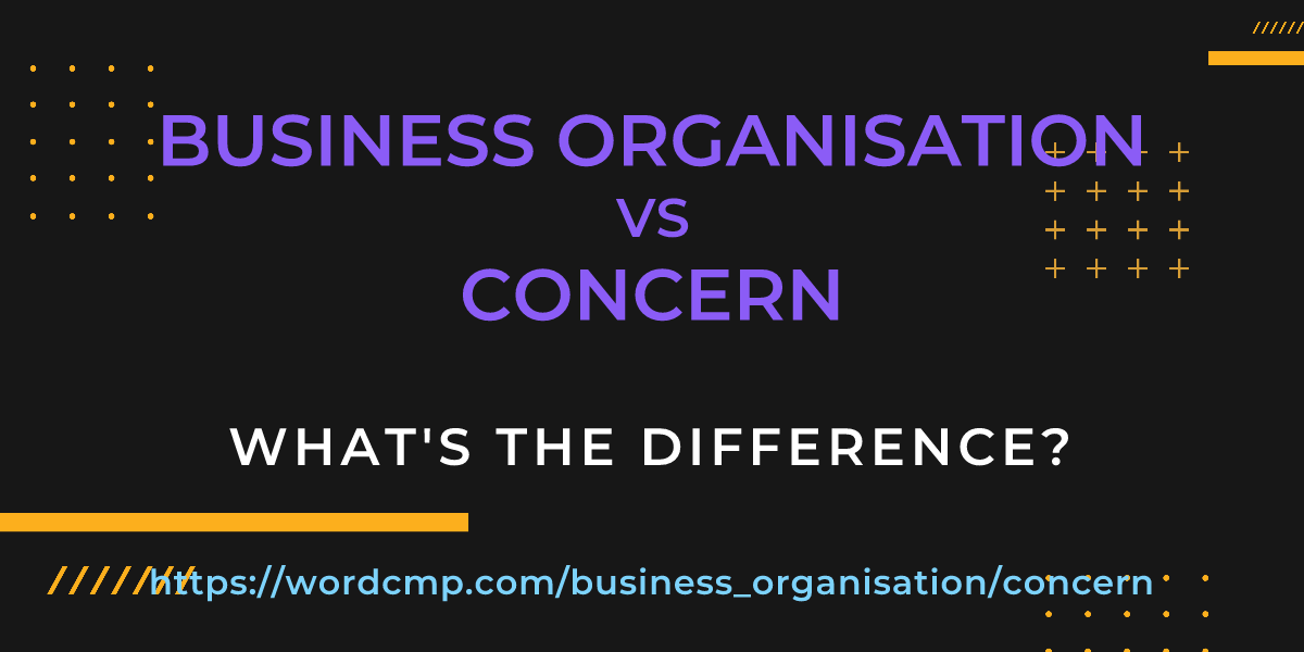 Difference between business organisation and concern