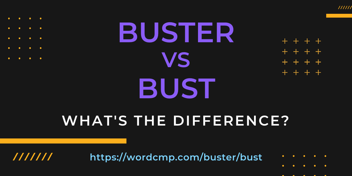 Difference between buster and bust