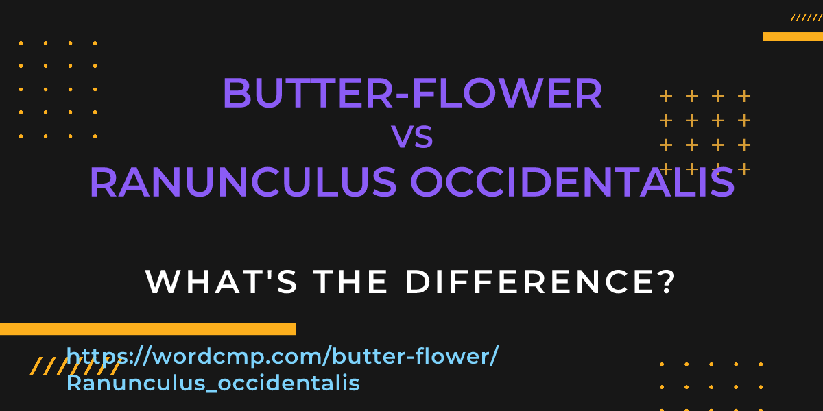 Difference between butter-flower and Ranunculus occidentalis