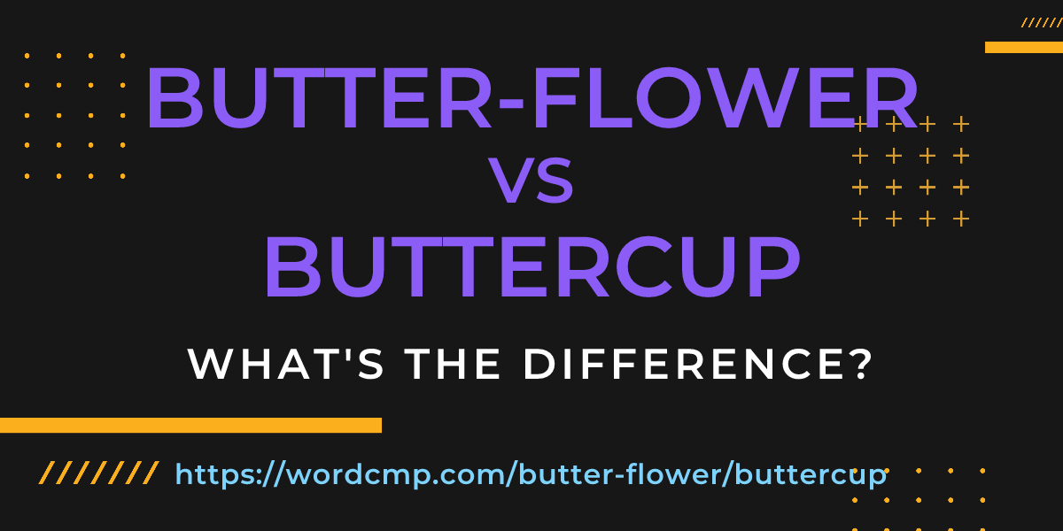 Difference between butter-flower and buttercup