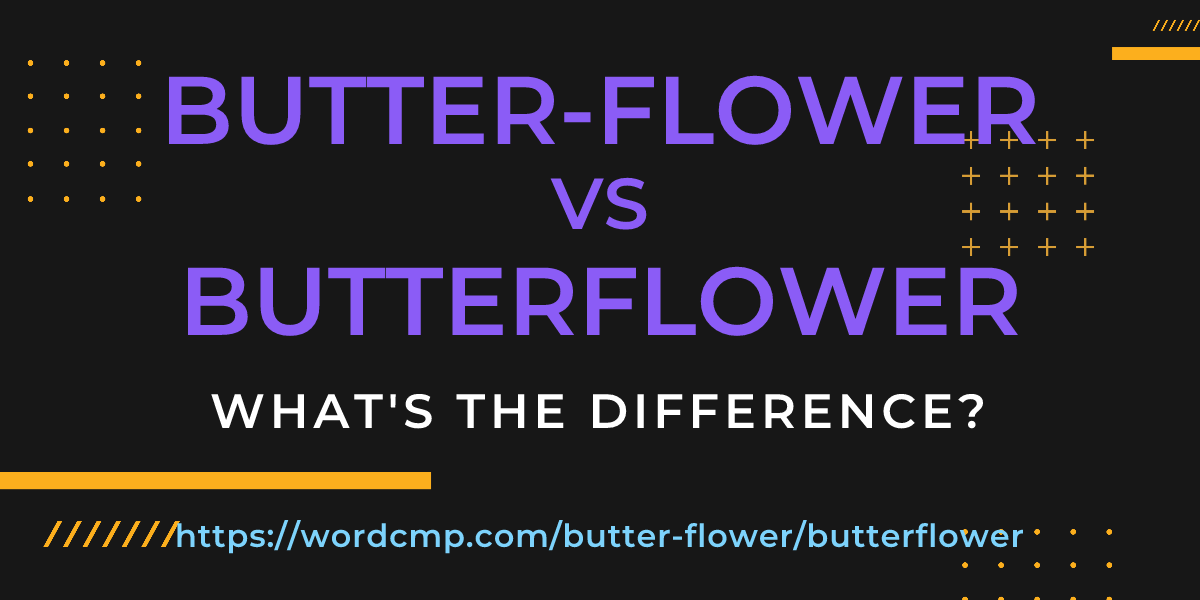 Difference between butter-flower and butterflower