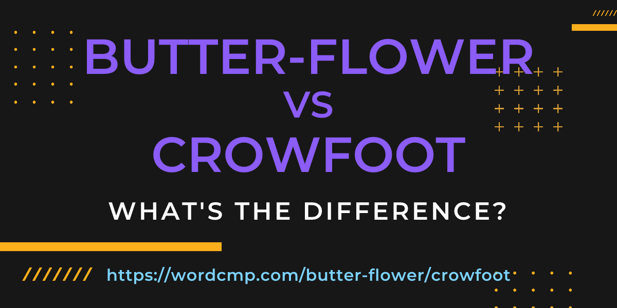 Difference between butter-flower and crowfoot