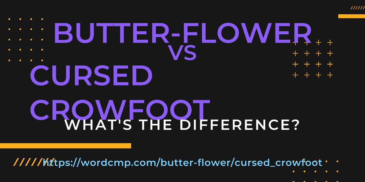 Difference between butter-flower and cursed crowfoot