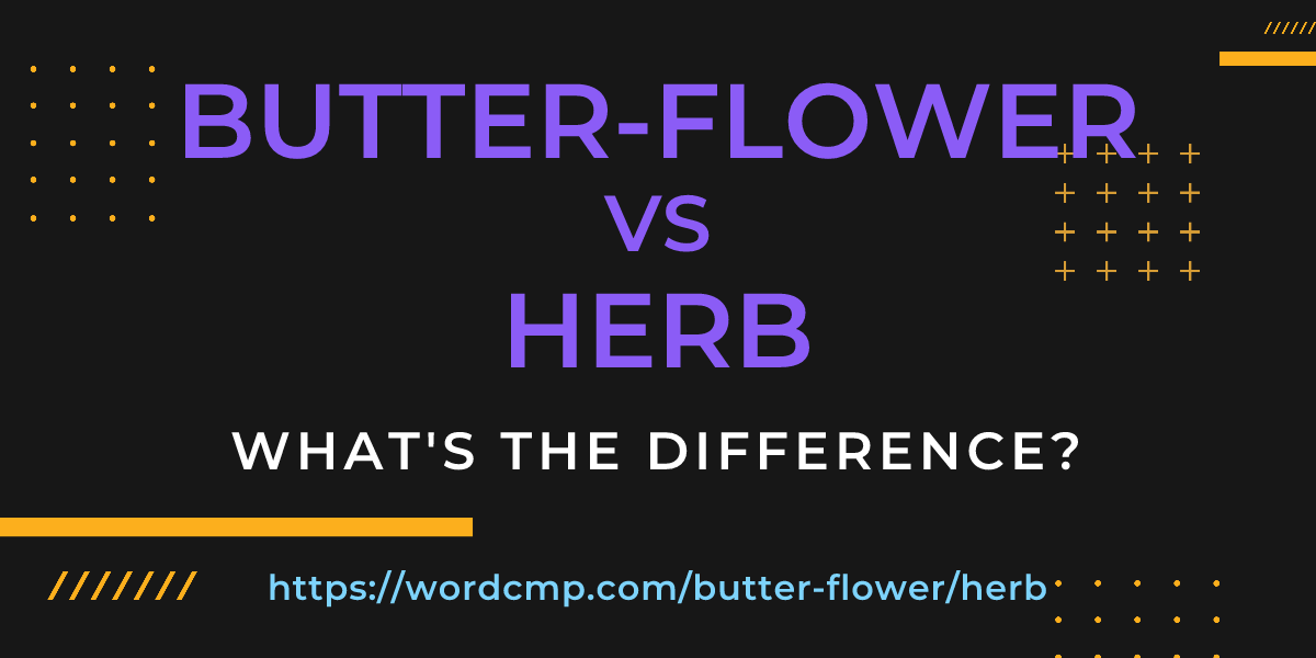 Difference between butter-flower and herb