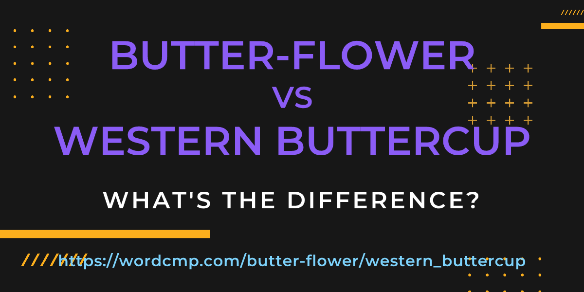 Difference between butter-flower and western buttercup