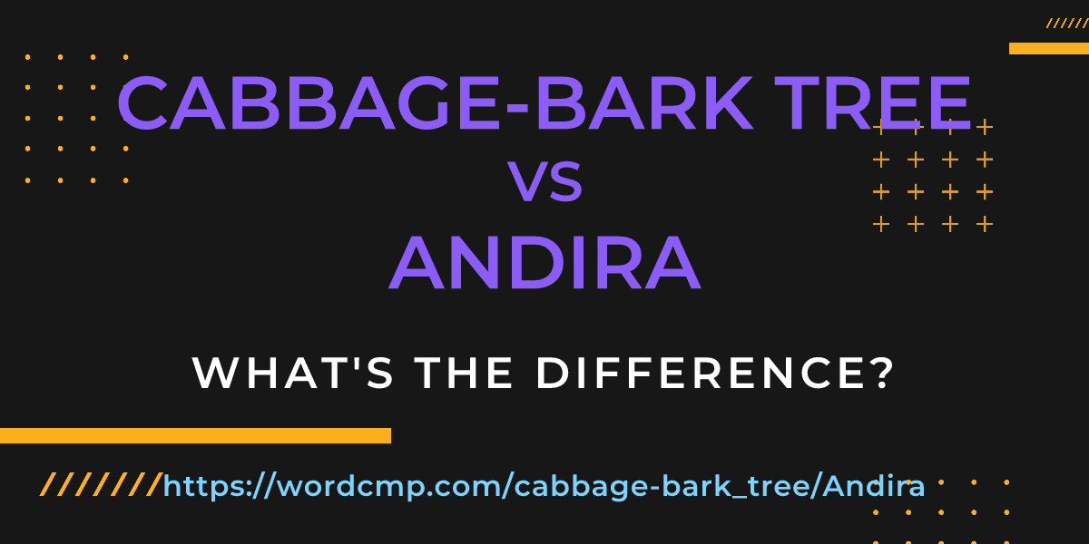 Difference between cabbage-bark tree and Andira