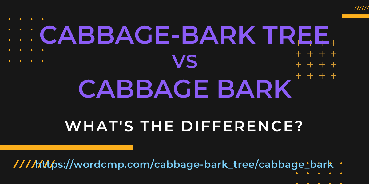 Difference between cabbage-bark tree and cabbage bark