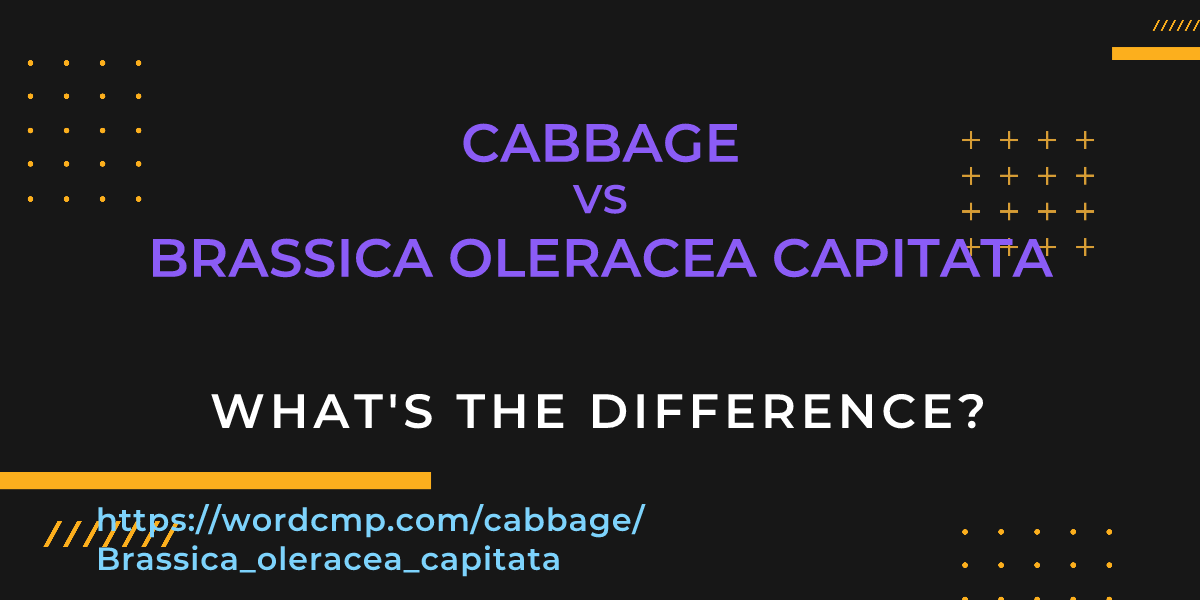 Difference between cabbage and Brassica oleracea capitata