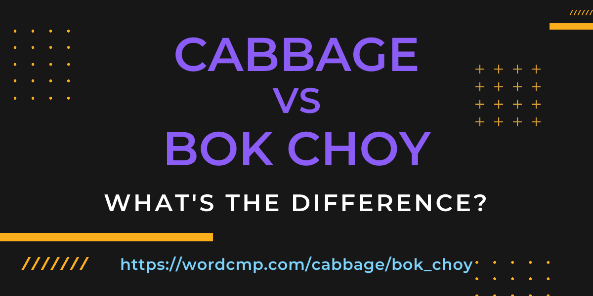 Difference between cabbage and bok choy