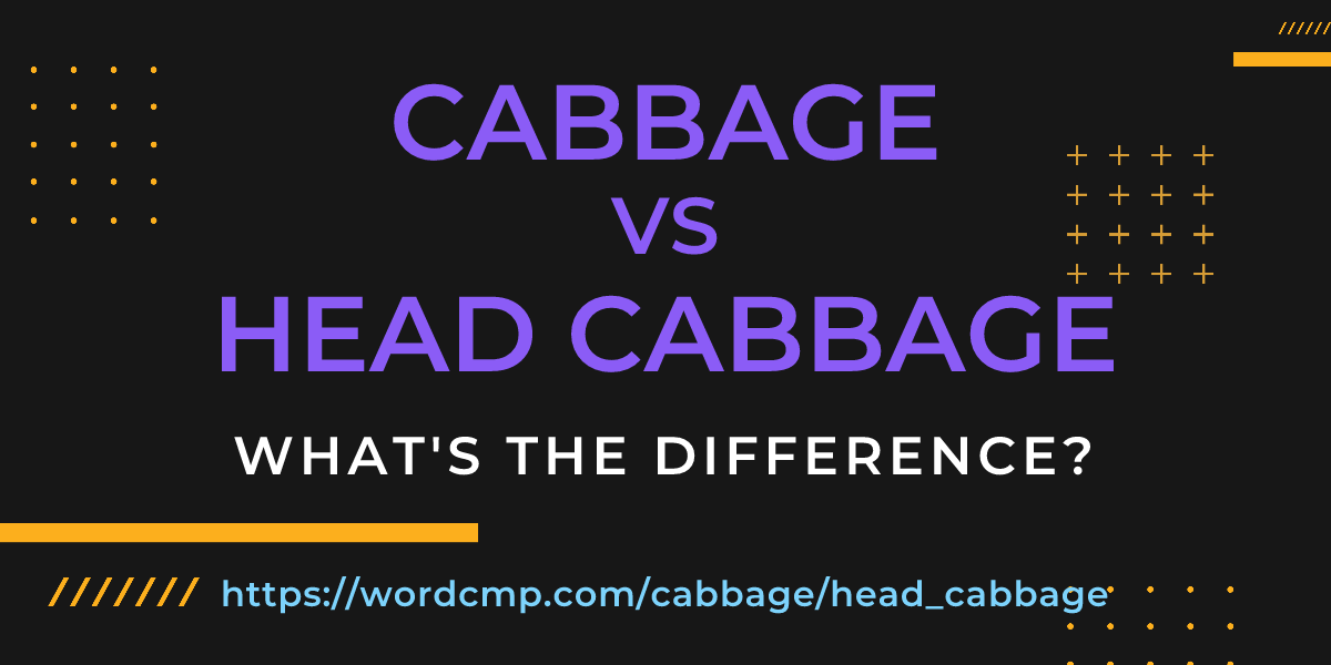Difference between cabbage and head cabbage