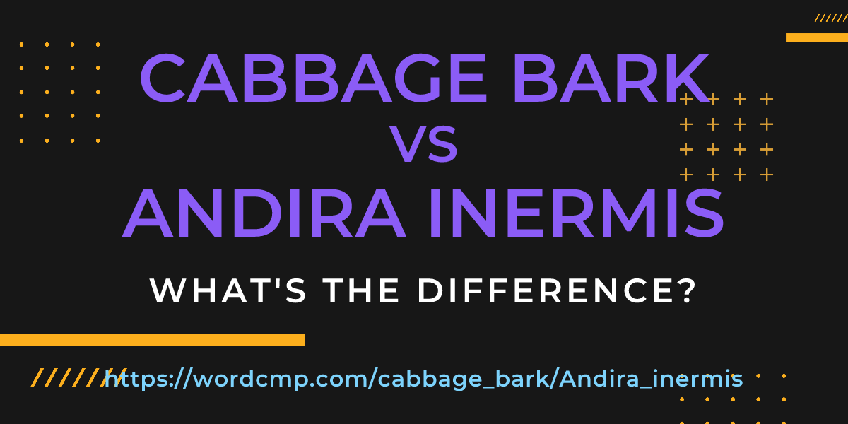 Difference between cabbage bark and Andira inermis