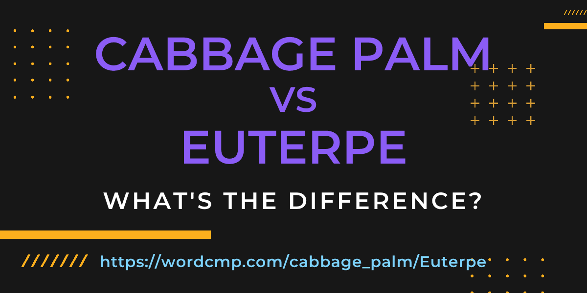 Difference between cabbage palm and Euterpe