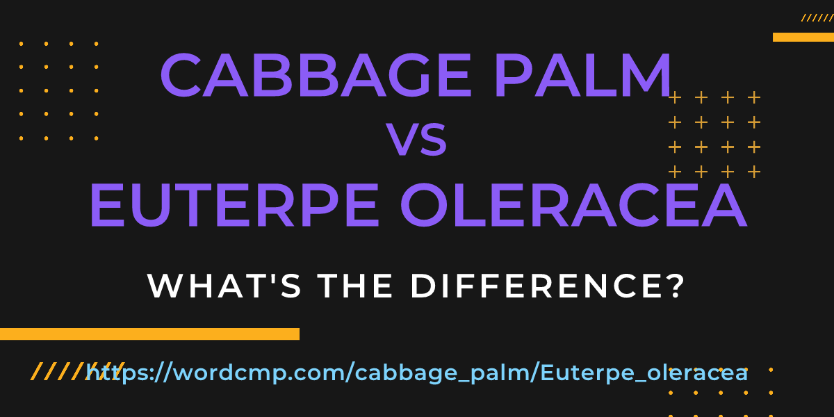 Difference between cabbage palm and Euterpe oleracea