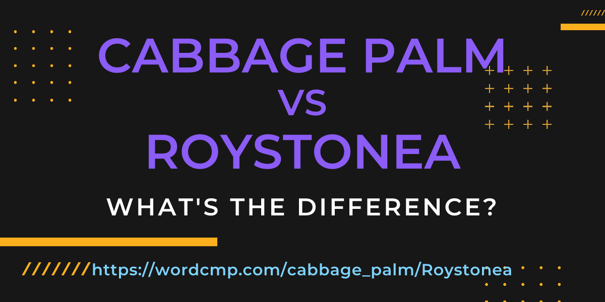 Difference between cabbage palm and Roystonea
