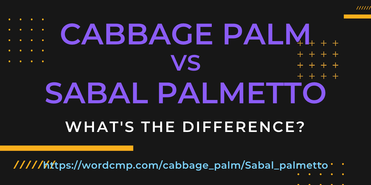 Difference between cabbage palm and Sabal palmetto