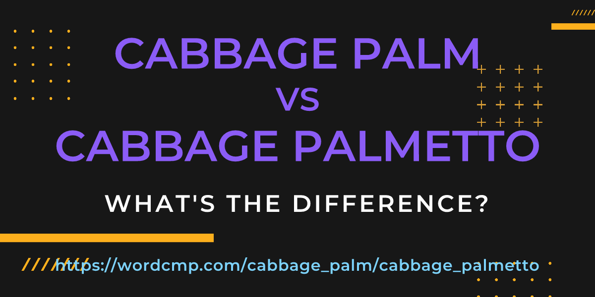 Difference between cabbage palm and cabbage palmetto