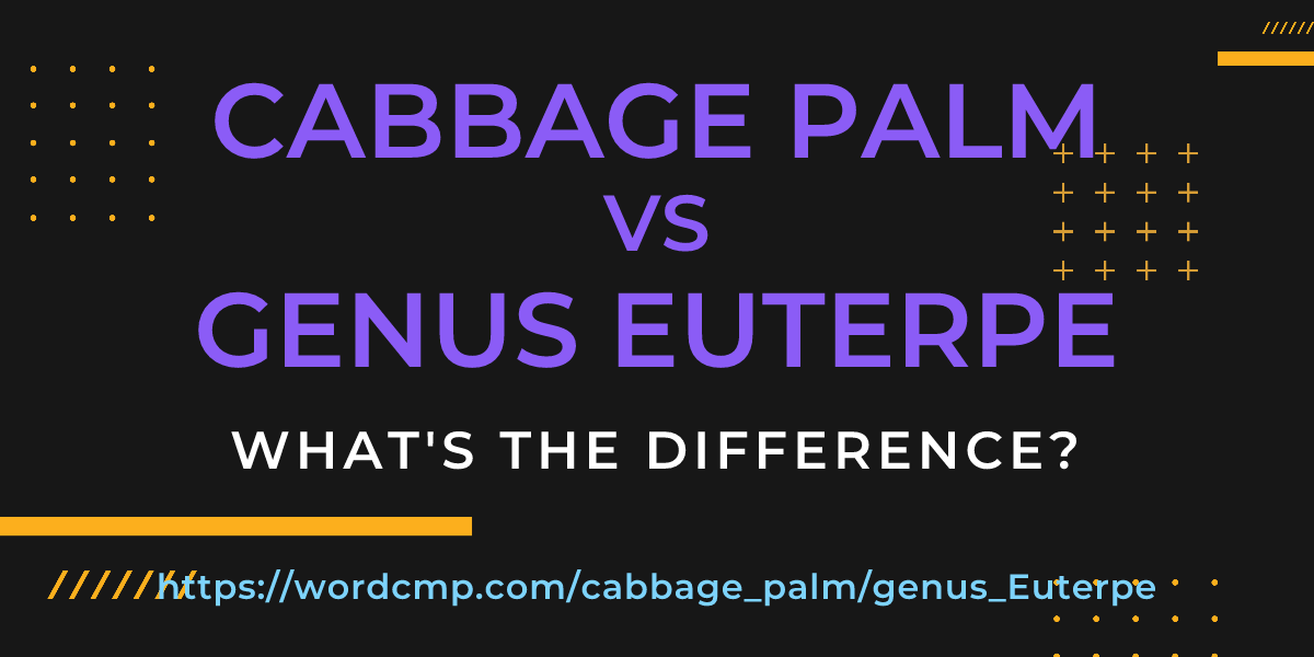 Difference between cabbage palm and genus Euterpe