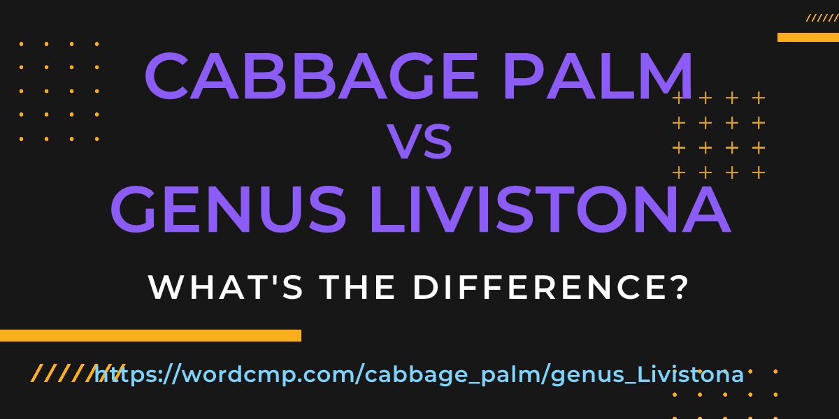Difference between cabbage palm and genus Livistona