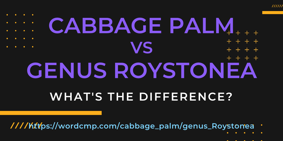 Difference between cabbage palm and genus Roystonea