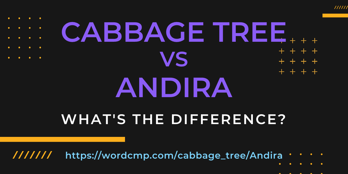 Difference between cabbage tree and Andira