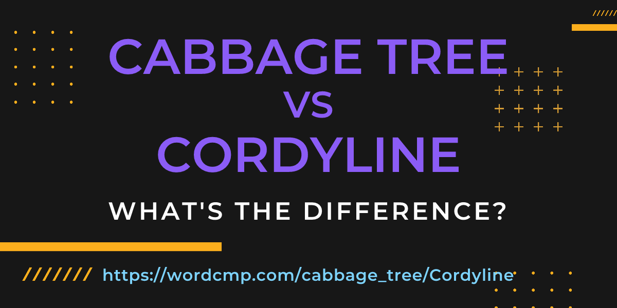 Difference between cabbage tree and Cordyline