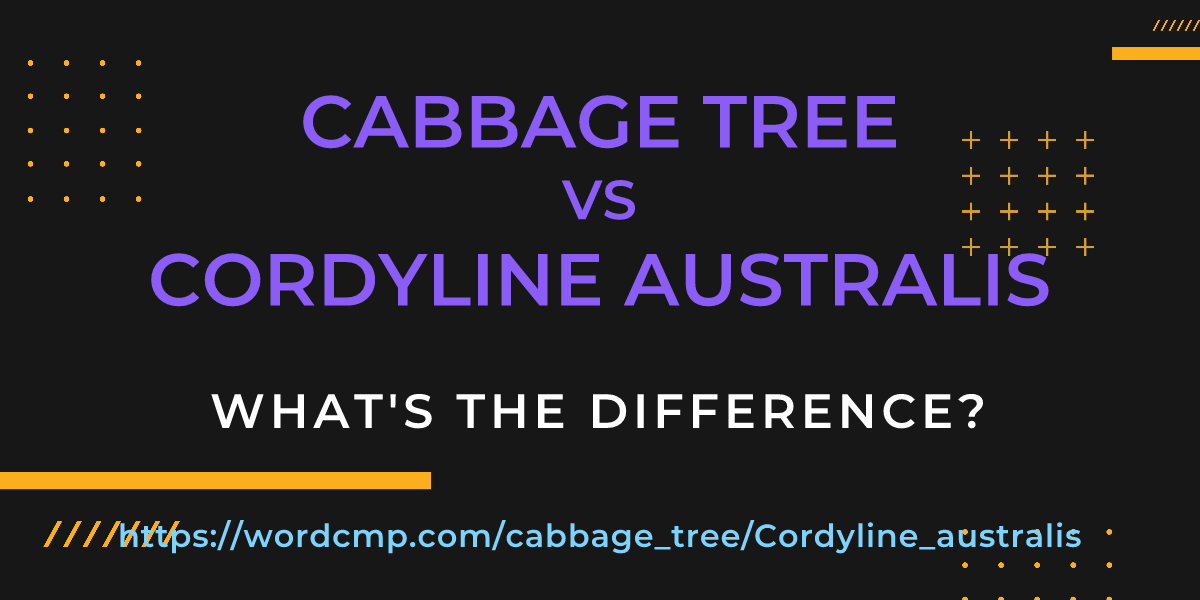 Difference between cabbage tree and Cordyline australis