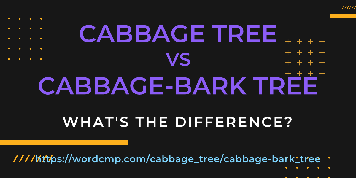 Difference between cabbage tree and cabbage-bark tree