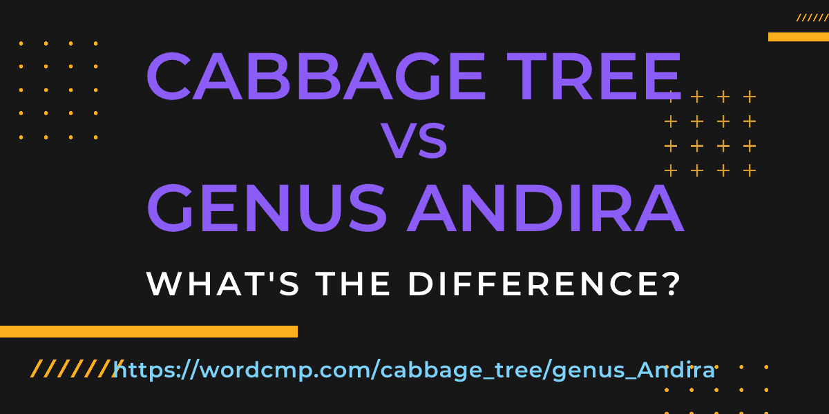 Difference between cabbage tree and genus Andira