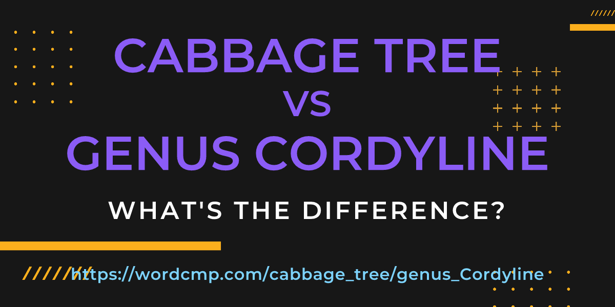 Difference between cabbage tree and genus Cordyline