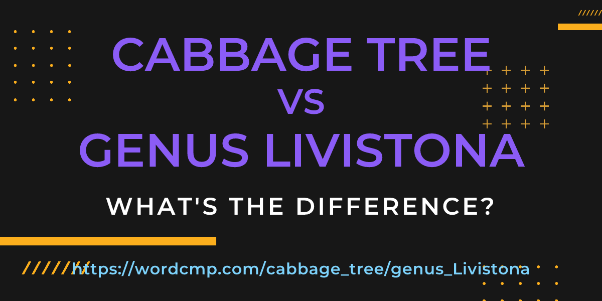 Difference between cabbage tree and genus Livistona