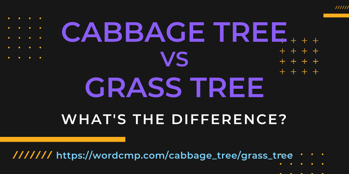 Difference between cabbage tree and grass tree