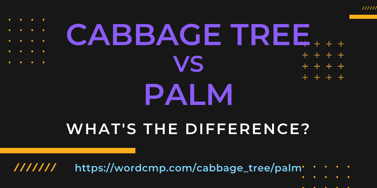 Difference between cabbage tree and palm