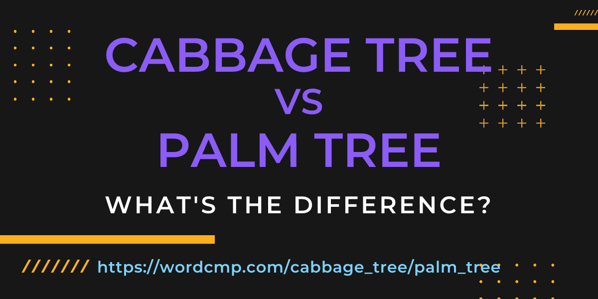 Difference between cabbage tree and palm tree