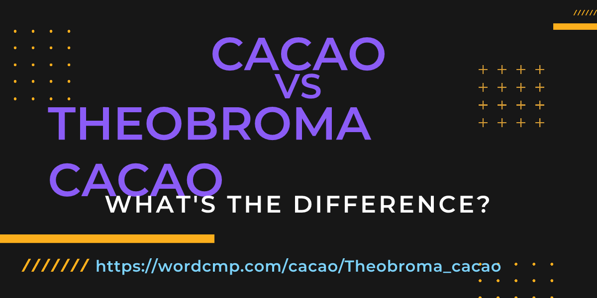 Difference between cacao and Theobroma cacao