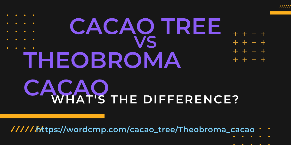 Difference between cacao tree and Theobroma cacao