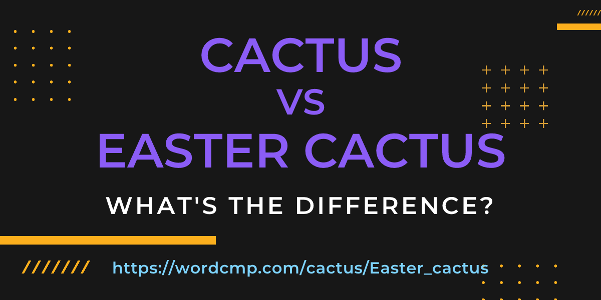 Difference between cactus and Easter cactus