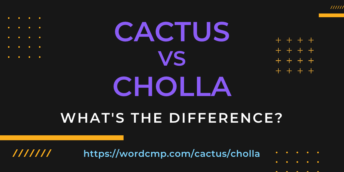 Difference between cactus and cholla