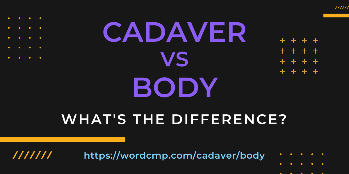 Difference between cadaver and body