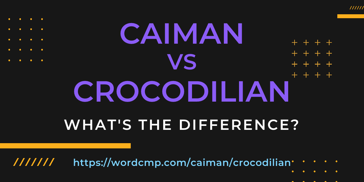 Difference between caiman and crocodilian