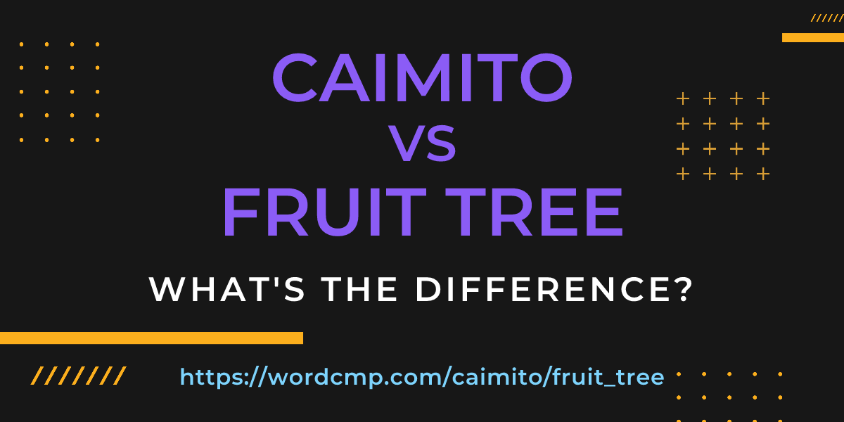 Difference between caimito and fruit tree