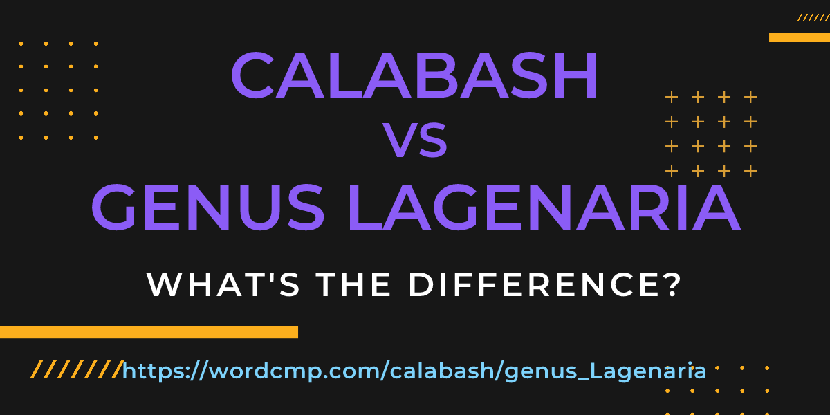 Difference between calabash and genus Lagenaria