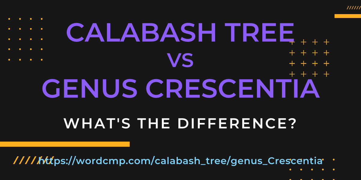 Difference between calabash tree and genus Crescentia