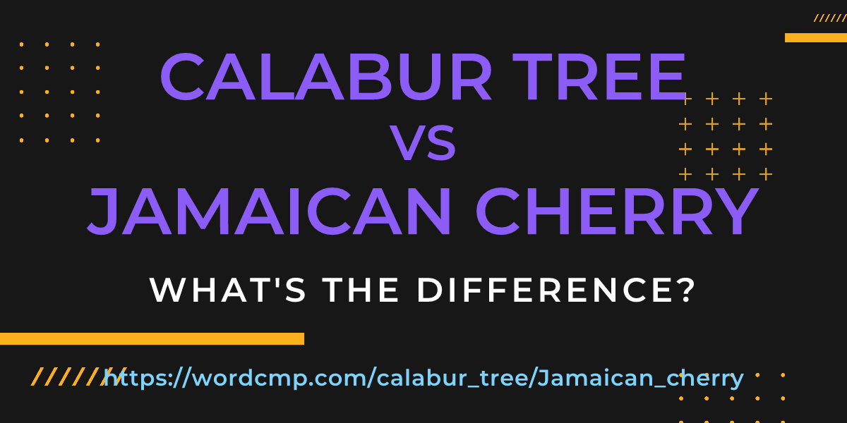 Difference between calabur tree and Jamaican cherry
